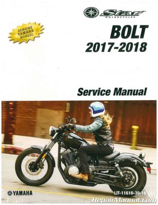 yamaha bolt service intervals